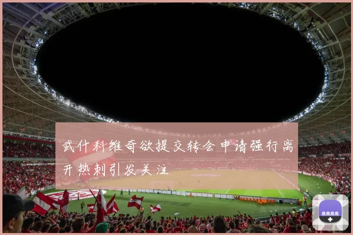 武什科维奇欲提交转会申请强行离开热刺引发关注