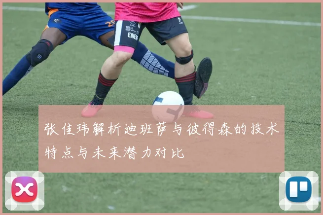 张佳玮解析迪班萨与彼得森的技术特点与未来潜力对比